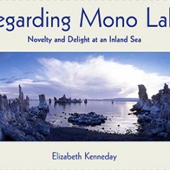 Regarding Mono Lake by Elizabeth Kenneday