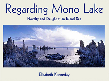 Regarding Mono Lake, Elizabeth Kenneday
