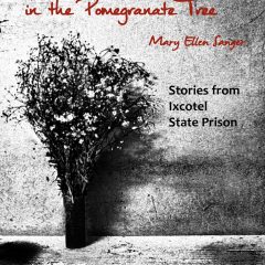 Blackbirds in the Pomegranate Tree: Stories from Ixcotel State Prison by Mary Ellen Sanger