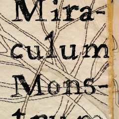 Miraculum Monstrum by Kathline Carr