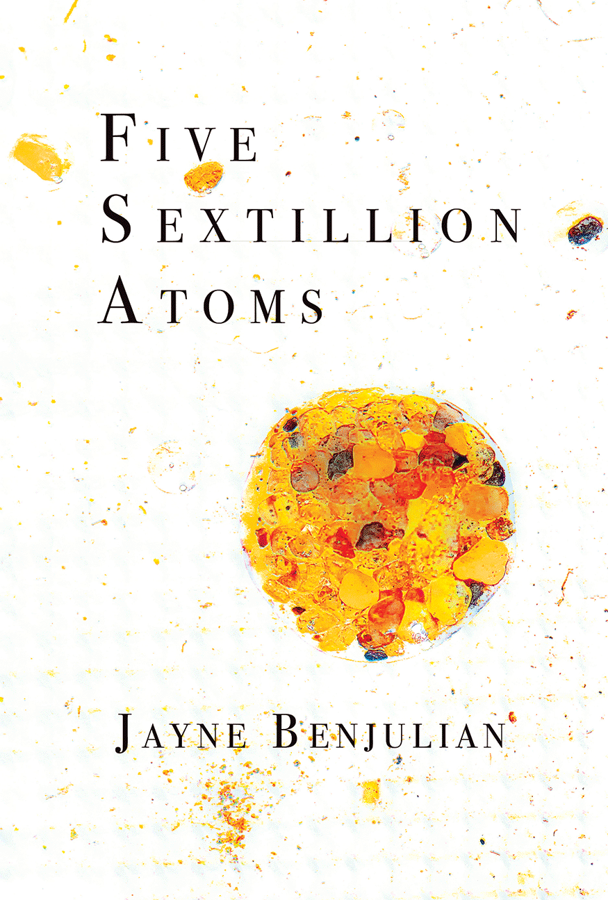 Five Sextillion Atoms by Jayne Benjulian