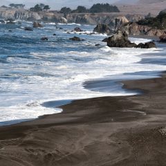 Shore by Lucy Aron