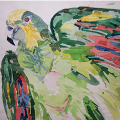 Fault Line with Parrot by Diane Lucille Meyer